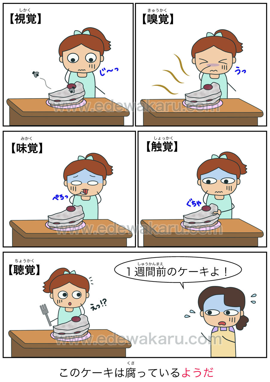 ようだ 五感推量 日本語能力試験 Jlpt N4 絵でわかる日本語 ようだ 五感推量 日本語能力試験 Jlpt N4 絵でわかる日本語