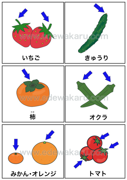 blog「へただと捨てるの?」②