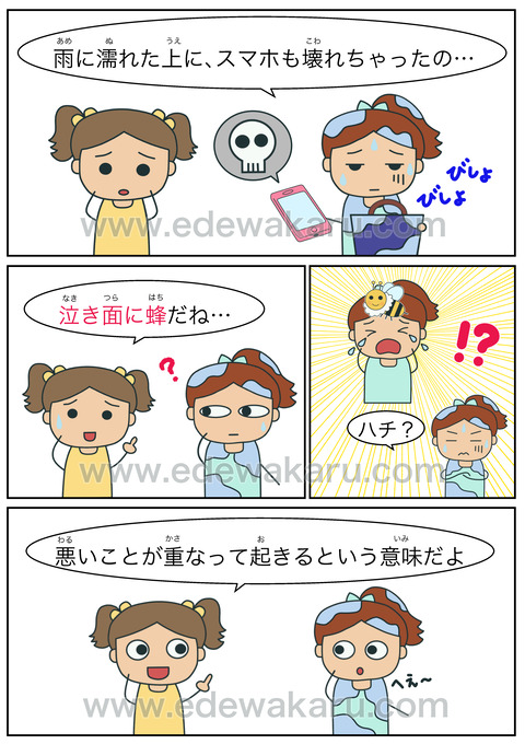 blog泣き面に蜂
