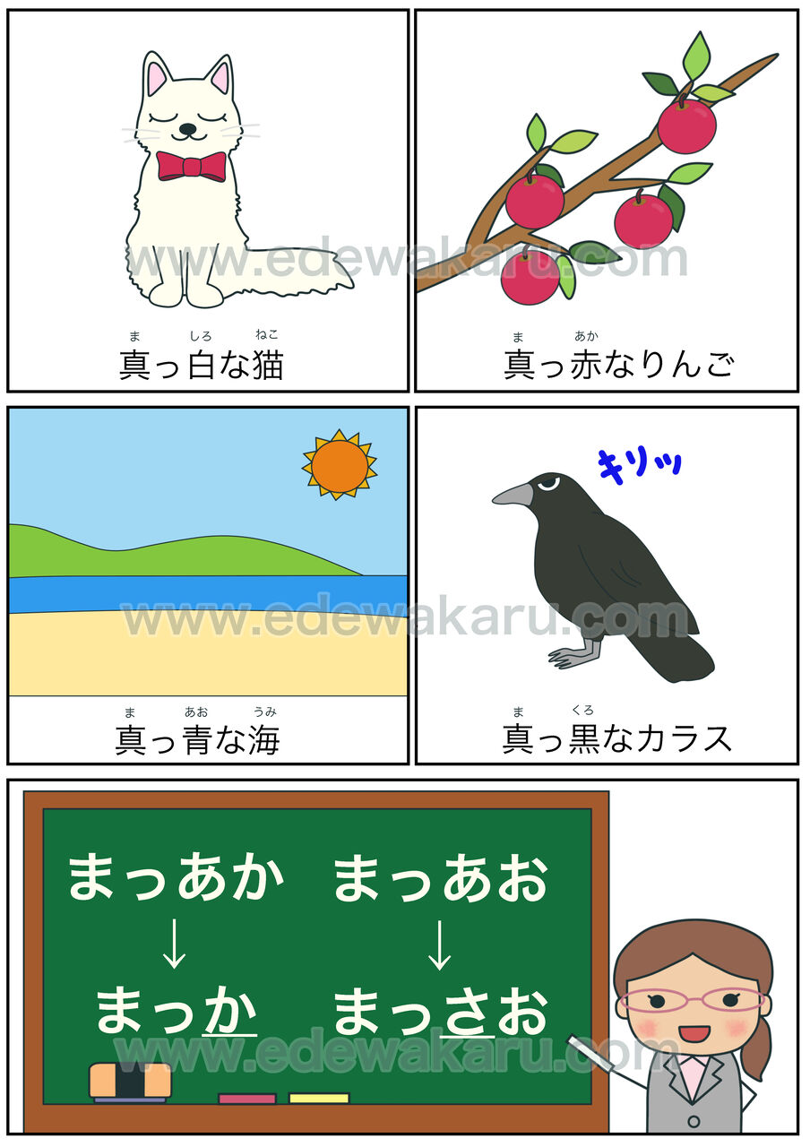 真っ白な猫 真っ赤なりんご 真っ青な海 真っ黒なカラス 間違った日本語 絵でわかる日本語