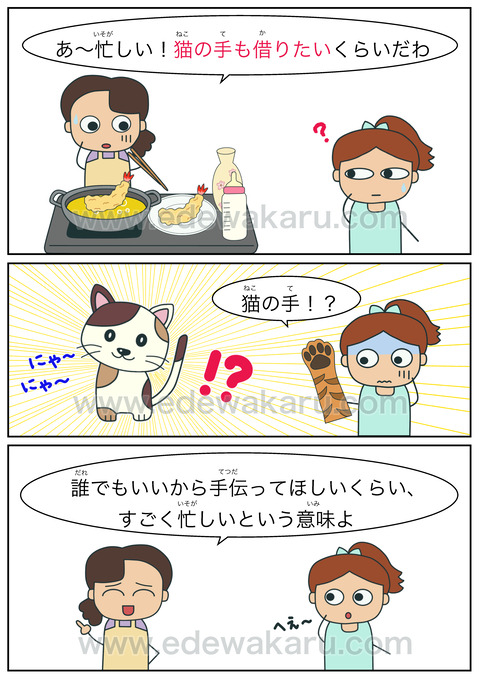 blog猫の手も借りたい