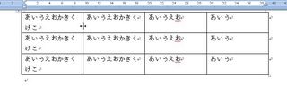 Word表2
