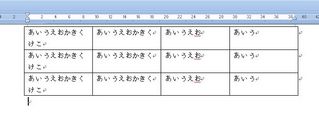 Word表1