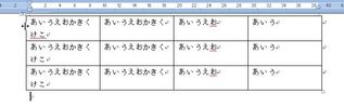 Word表3