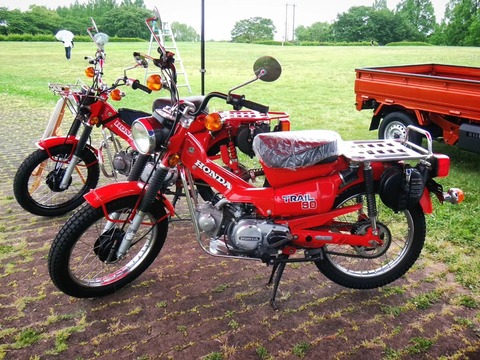 IMG_20240519_180259_132