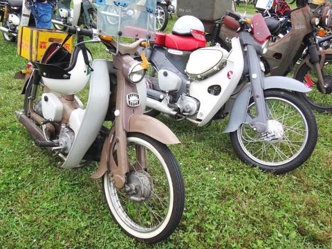 IMG_20240519_180300_583