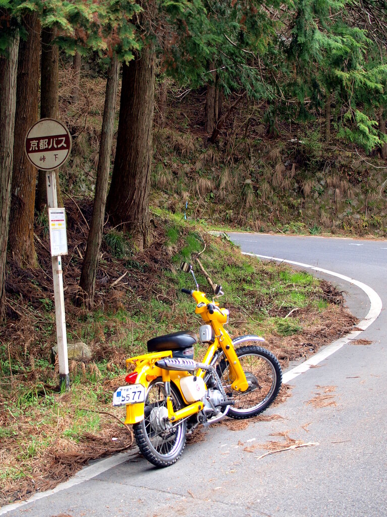 スーパーカブc100 花脊峠旧道林道 Cubtrek Kyoto スーパーカブc100 花脊峠旧道林道 Cubtrek Kyoto