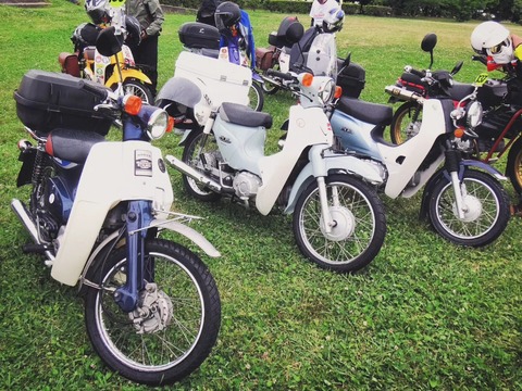 IMG_20240519_180259_031