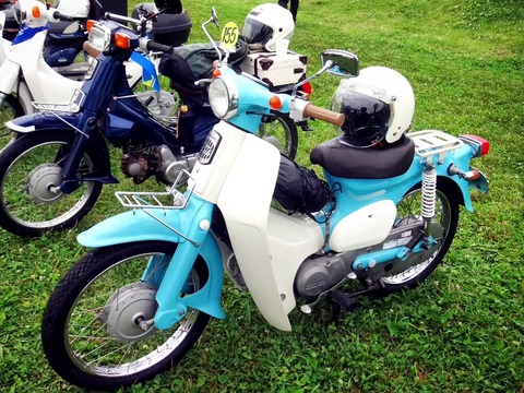 IMG_20240519_180300_332