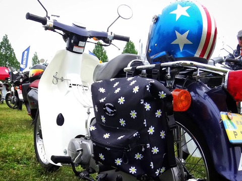 IMG_20240519_180300_416