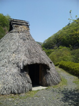 genshi