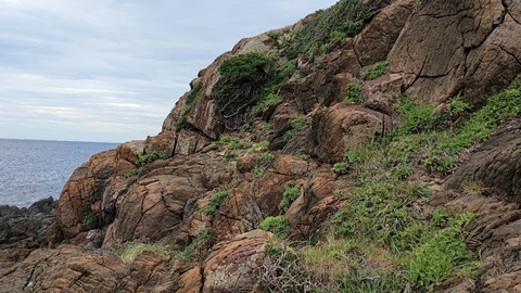 P_20220731_150733