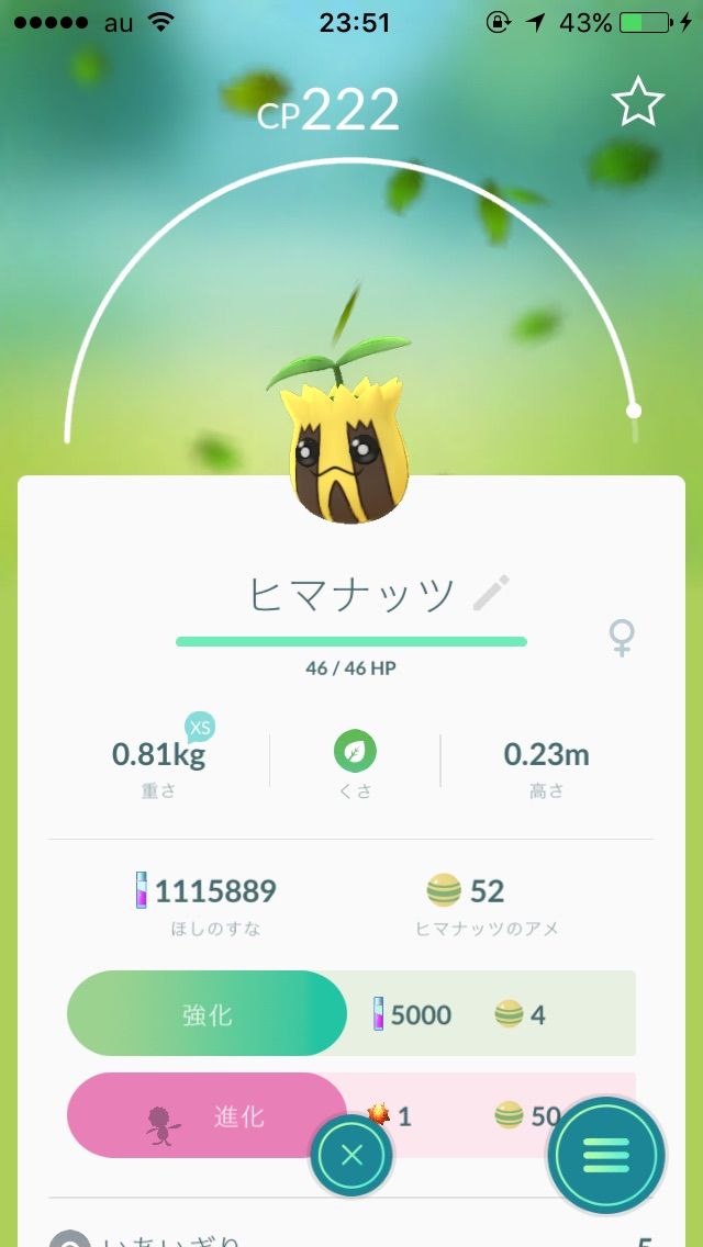 ポケモンgo 太陽の石 捨てる ポケモンgo 太陽の石 捨てる