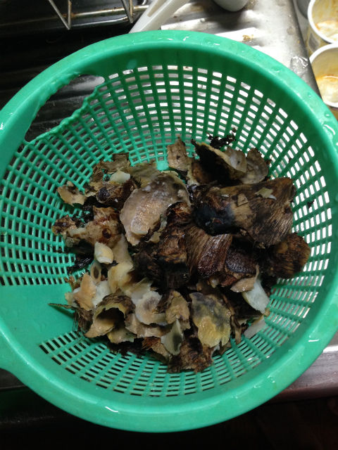 ミミズ牧場 安心の現物画像なし チラシの裏的な何か