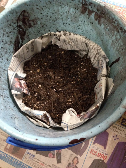 ミミズ牧場 安心の現物画像なし チラシの裏的な何か