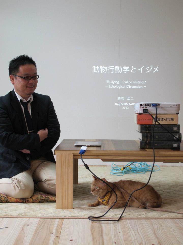 おしゃべりサロン イジメと動物行動学with猫カフェ 開催しました 東京都議会議員 上田令子のお姐が行く おしゃべりサロン イジメと動物行動学with猫カフェ 開催しました 東京都議会議員 上田令子のお姐が行く