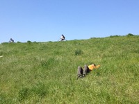 72862_492961670769537_1487515286_n