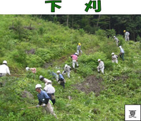 sinrintai_2010_61