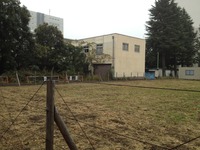 IMG_1947[1]