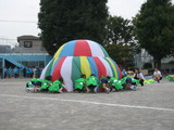 koiwa1