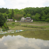 kaeru1