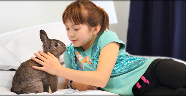 死 Death ペットの死を描いている英語絵本の紹介 英語絵本クラブ