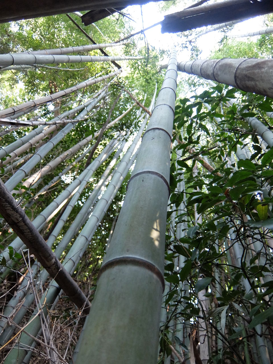 8月の闇夜 紀の川ライダー