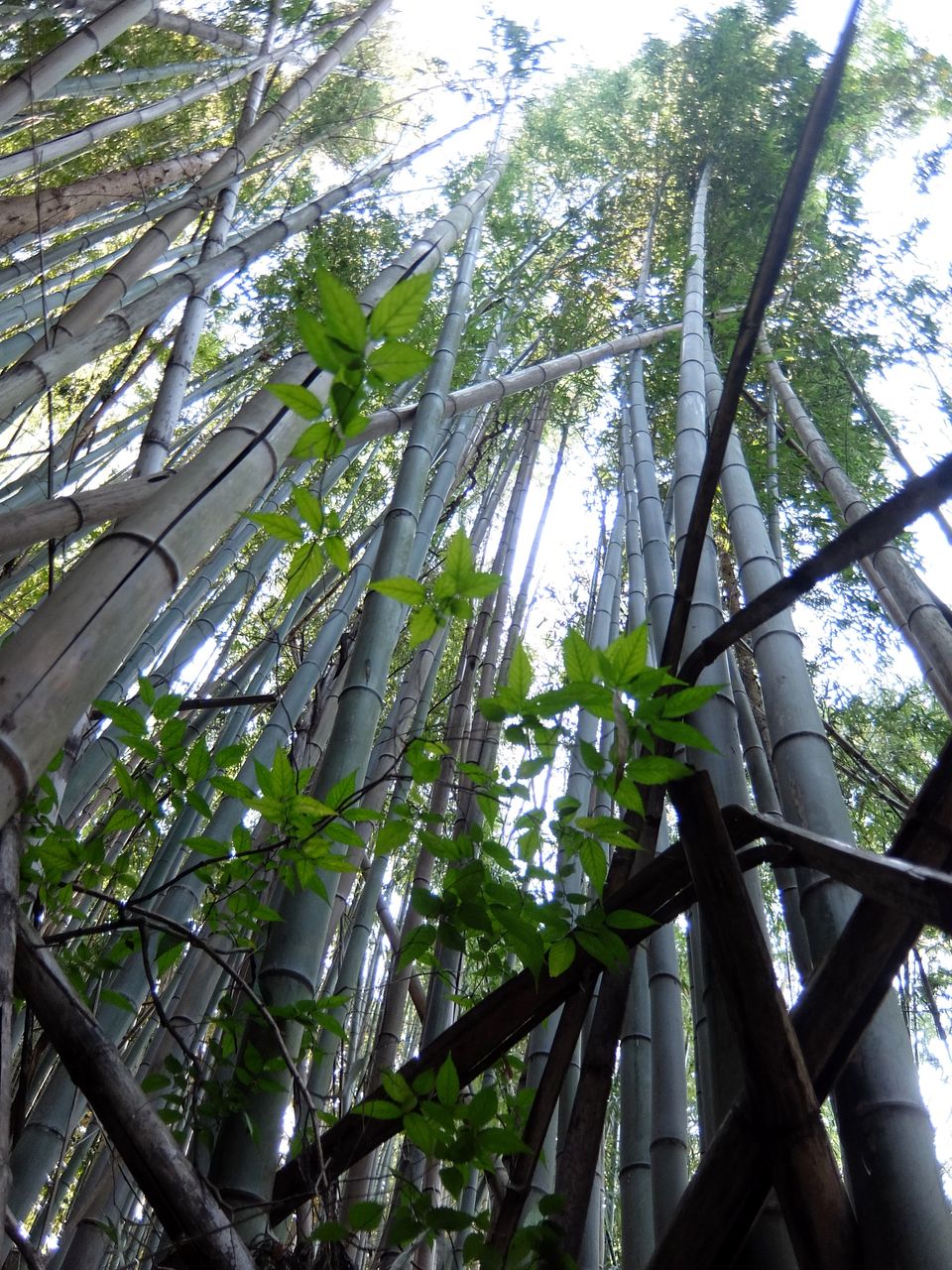 8月の闇夜 紀の川ライダー