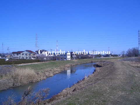 旧鳩ケ谷市と川口市安行とさいたま市緑区大門・美園里山２Ｂ