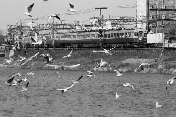 36 KZ 3000 五条かもめ1jjmm