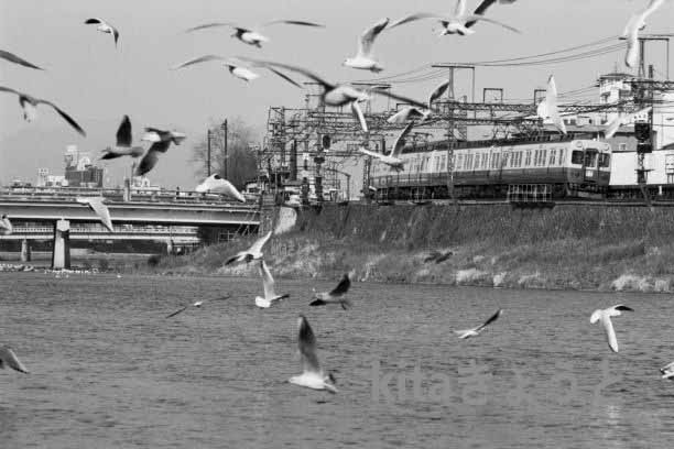 36 KZ 2600 五条かもめjjmm