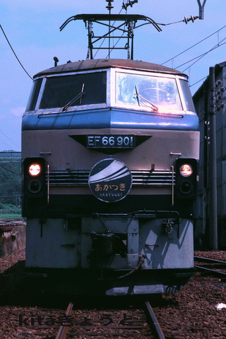 72 66 901  maibara  akatuki jj mmつつ