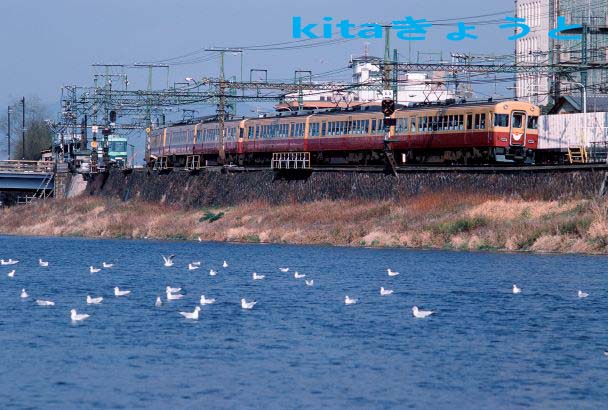 36 kz 3000 gojo kamome zzjjmm