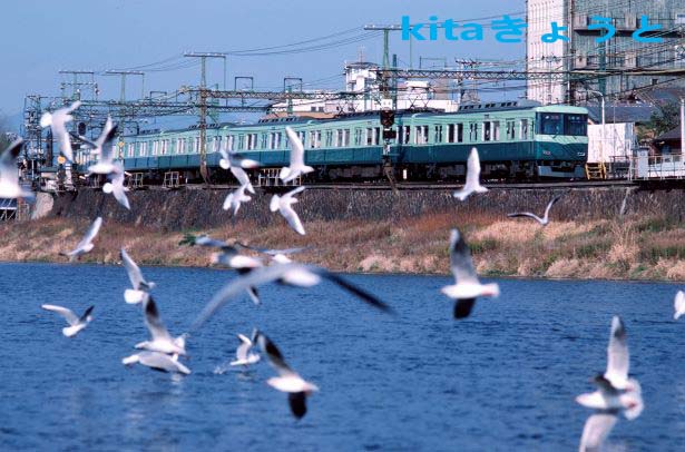 36 kz 6053 gojo kamome zzjjmm