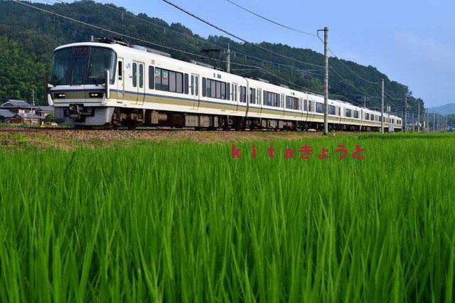 千代川190803 (2)mm