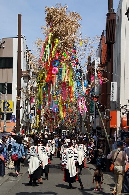 第33回高幡不動参道七夕まつり 新選組revo 音無し演舞 写メ鉄