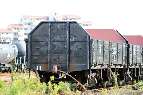 トラ148145