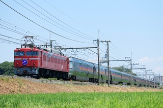IMG_3165-1