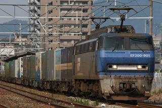 ¥³¥Ô¡¼ ¡Á IMG_9420