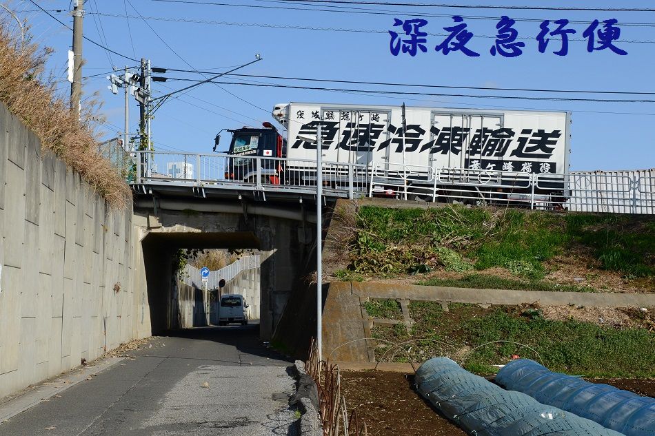 【ファクトチェック】「竜ヶ崎 荷役」の検索急増はなぜ？事故や事件の有無を徹底調査