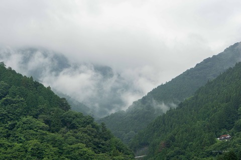 DSC01009