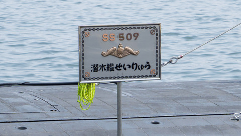 DSC06713