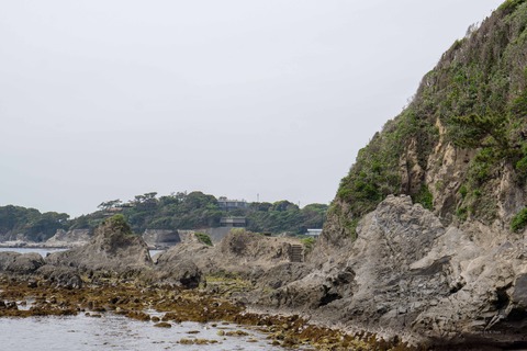 DSC08976