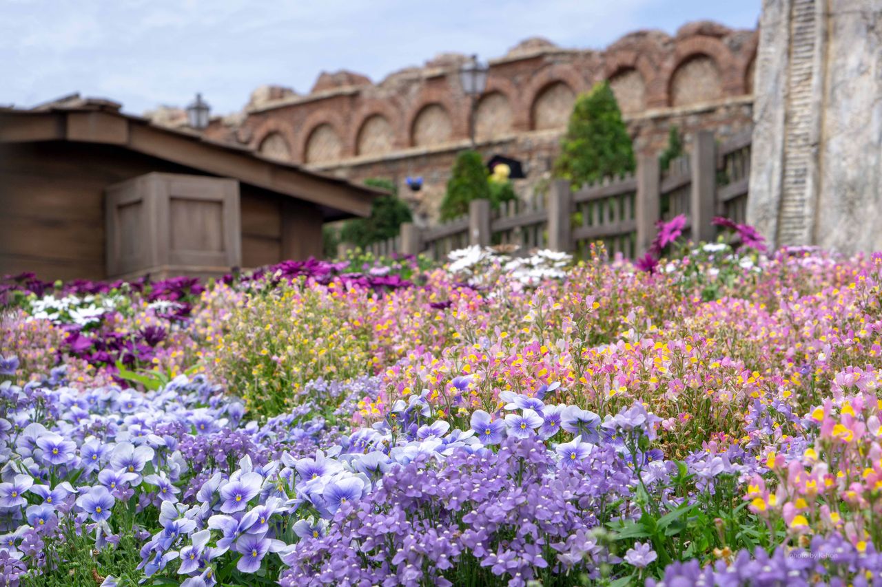 ディズニーシーの新たな楽しみを見つけるために 前編 K Blog