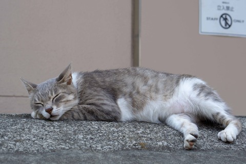 DSC00109