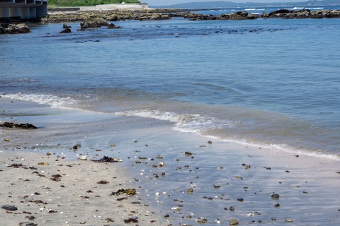 DSC09375