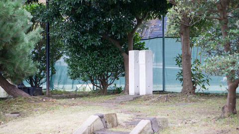 DSC03800