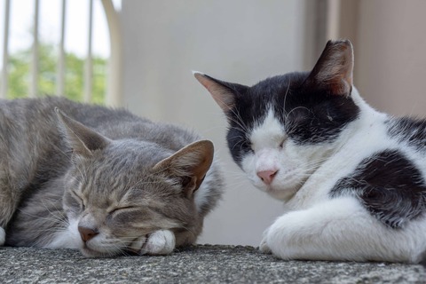 DSC00126