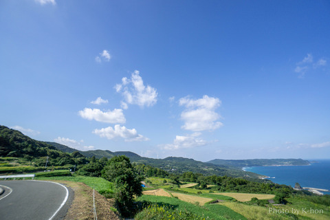 DSC01955