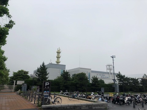 005 (2)